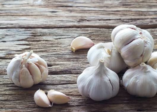 Garlic, photo 1